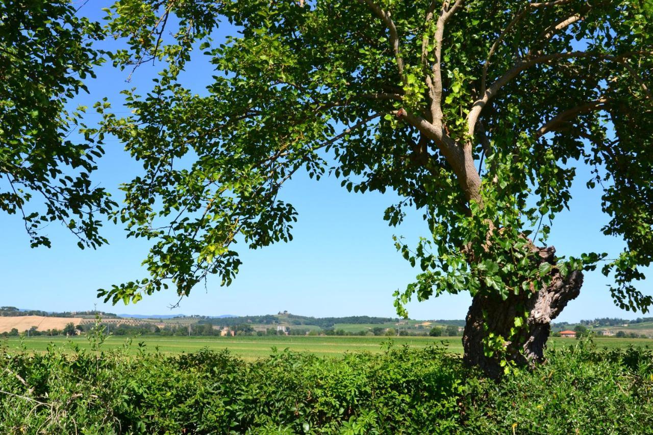 Agriturismo Le Stringaie Montepulciano Stazione Extérieur photo